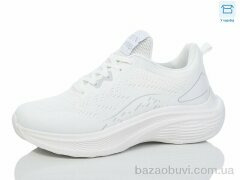 Hongquan J1023-1, 540.00, 8, 36-41