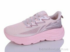 Ditof B0093-3, 11.00, 8, 36-41