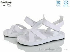 Dageni F208-2, 650.00, 8, 36-41