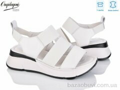 Dageni F09-3, 650.00, 8, 36-41