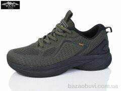 Baas L1879-9, 19.00, 8, 36-41