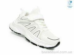TOM.M F65065E, 525.00, 8, 31-36