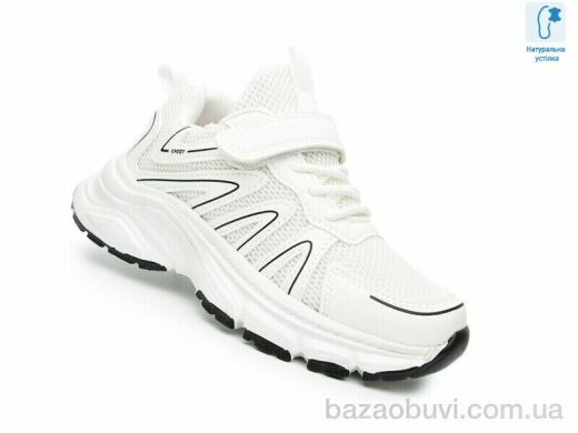 TOM.M F65065E, 525.00, 8, 31-36