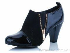 Lion 8038-4, 130.00, 8, 36-41