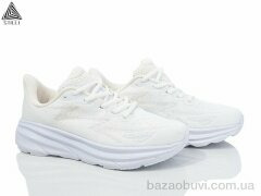 STILLI Group HB250-5 піна, 670.00, 8, 36-40