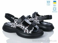 Ailinda 854-112, 480.00, 6, 36-40