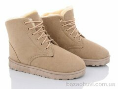 Lion CR2303, 350.00, 8, 36-41