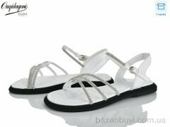 Dageni F05-2, 580.00, 8, 36-41