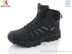 ROYYNA 062DB-6-43, 30.00, 8, 41-46