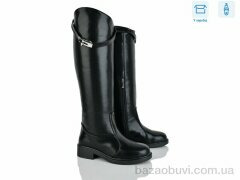 Ailinda 03006-2d, 1100.00, 6, 36-41