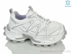 Teetspace-Trasta-Egga WDP2065-26, 38.00, 6, 36-40