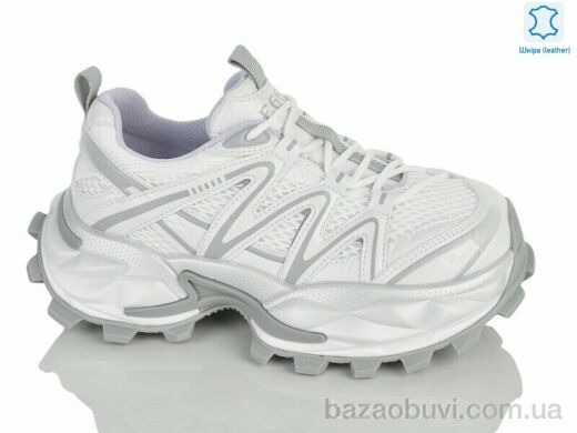 Teetspace-Trasta-Egga WDP2065-26, 38.00, 6, 36-40