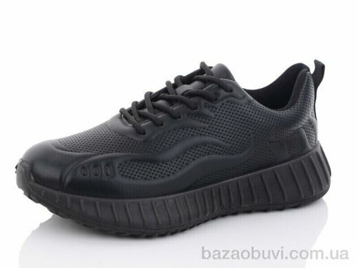 Nasite 0344, 250.00, 8, 36-41
