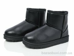 Lion CR2313, 380.00, 8, 36-41