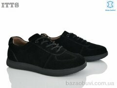 ITTS CK19-1, 22.00, 6, 36-41