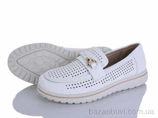 Lion-Lu 2024-66, 350.00, 8, 36-41