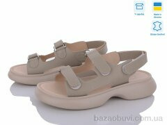 Ailinda 876-26, 590.00, 6, 36-40