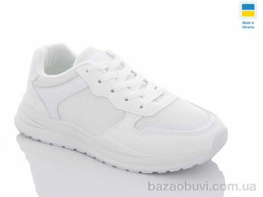 Swin 2379-2, 360.00, 8, 36-41