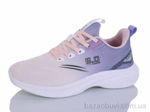 Ditof B0071-2, 11.00, 8, 36-41