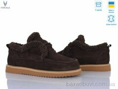 Viscala 2781-2, 1570.00, 6, 36-41