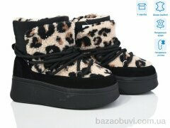 Violeta M6139-11 black-leopard, 900.00, 8, 36-40