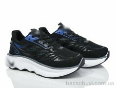 Захар-Gold O183, 300.00, 8, 36-41