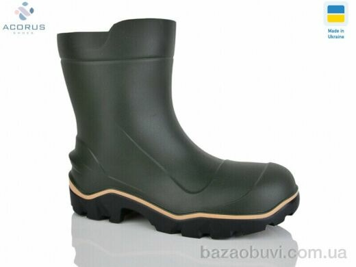 Acorus LT зелений, 330.00, 6, 41-46