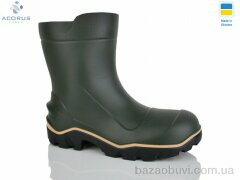 Acorus LT зелений, 380.00, 6, 41-46