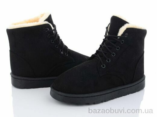 Lion CR2304, 350.00, 8, 36-41