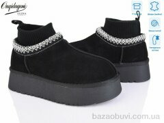 Dageni OQ009-1, 24.00, 8, 36-41