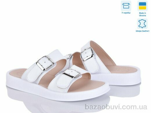 Ailinda 313-8, 640.00, 6, 36-40