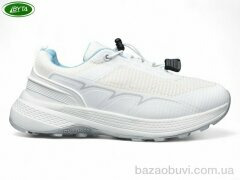 Bayota B1157-7M, 600.00, 8, 36-41