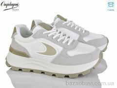 Dageni C6603-5, 550.00, 8, 37-41