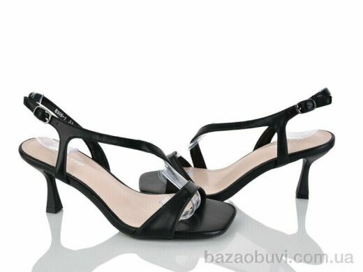 Loretta B305-1, 650.00, 6, 36-40