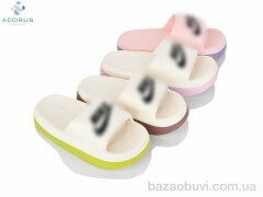 Acorus M18 mix, 250.00, 12, 36-41