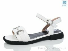 Hongquan B12-2, 490.00, 8, 36-41