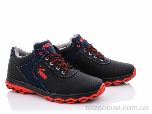 Lvovbaza N-Cardinal ТМ2 пр.кп., 540.00, 8, 40-45