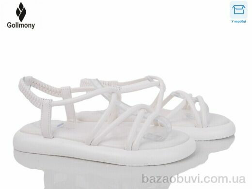 Gollmony 2025-79-2, 480.00, 8, 36-41