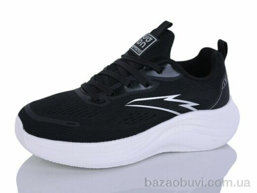 Ditof B0102-1, 11.00, 8, 36-41