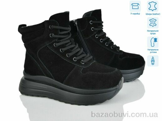 Мир 4256-CE081-1, 790.00, 6, 36-41