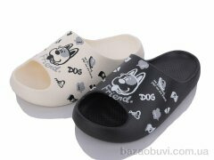 Lion-Lu T777-7 mix, 260.00, 24, 36-41