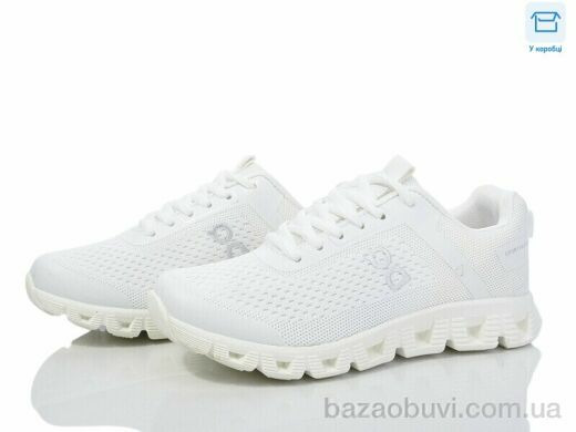 Hongquan J1033-2, 480.00, 8, 36-41