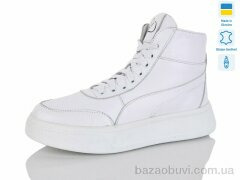 Carolina Z2097-2, 700.00, 6, 36-40
