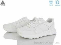 STILLI Group G170-2 шкіра, 550.00, 8, 36-40