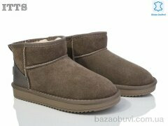 ITTS 5875-12, 600.00, 6, 36-41