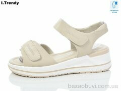 Trendy WL1038-5, 500.00, 8, 36-41
