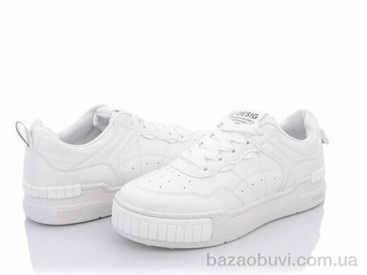 Xifa 038-19, 360.00, 8, 36-41