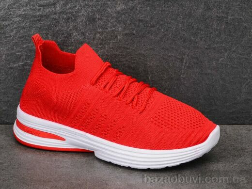 L.B. 28-3, 180.00, 8, 36-41
