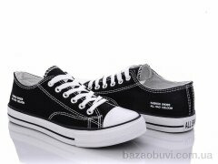 Xifa XF01-013-08, 275.00, 8, 36-41