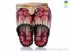 Active 573, 280.00, 10, 36-41